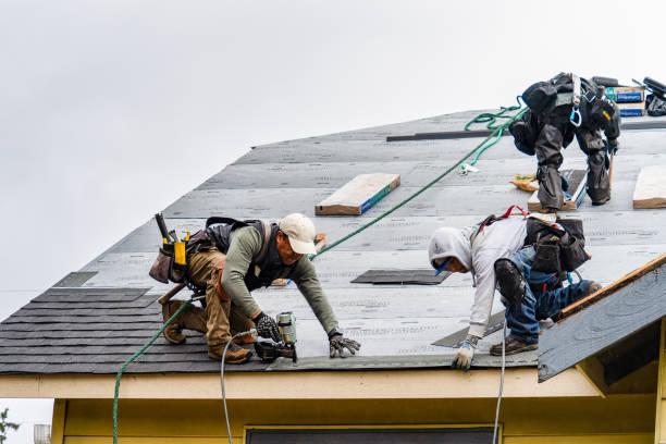 Professional Gutter Installation technician working in Dows, IA